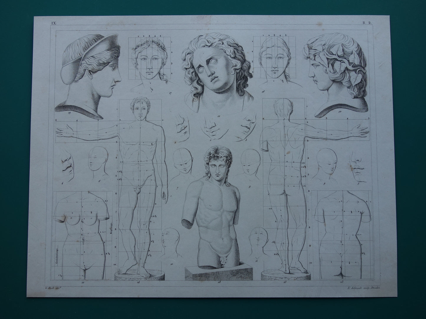 Oude prent schilderkunst theorie proporties van het menselijk lichaam originele antieke illustratie vintage prints