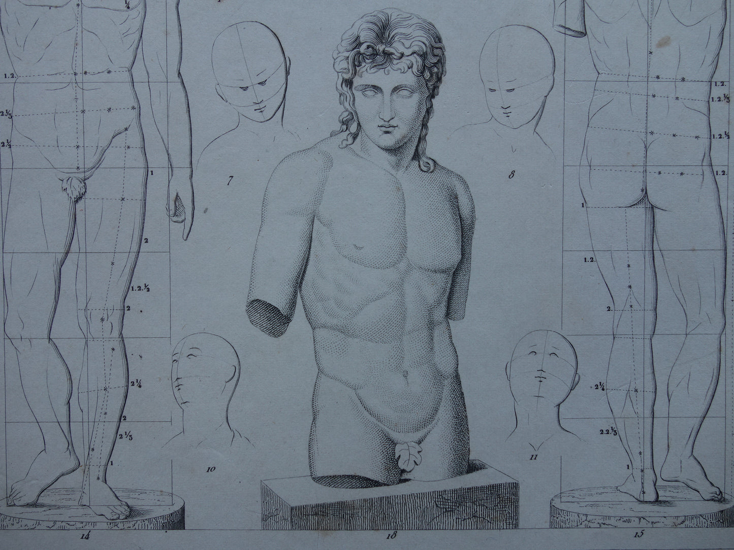 Oude prent schilderkunst theorie proporties van het menselijk lichaam originele antieke illustratie vintage prints