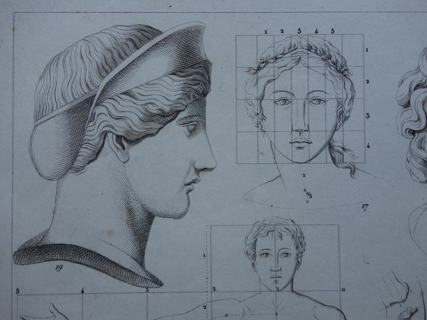 Oude prent schilderkunst theorie proporties van het menselijk lichaam originele antieke illustratie vintage prints