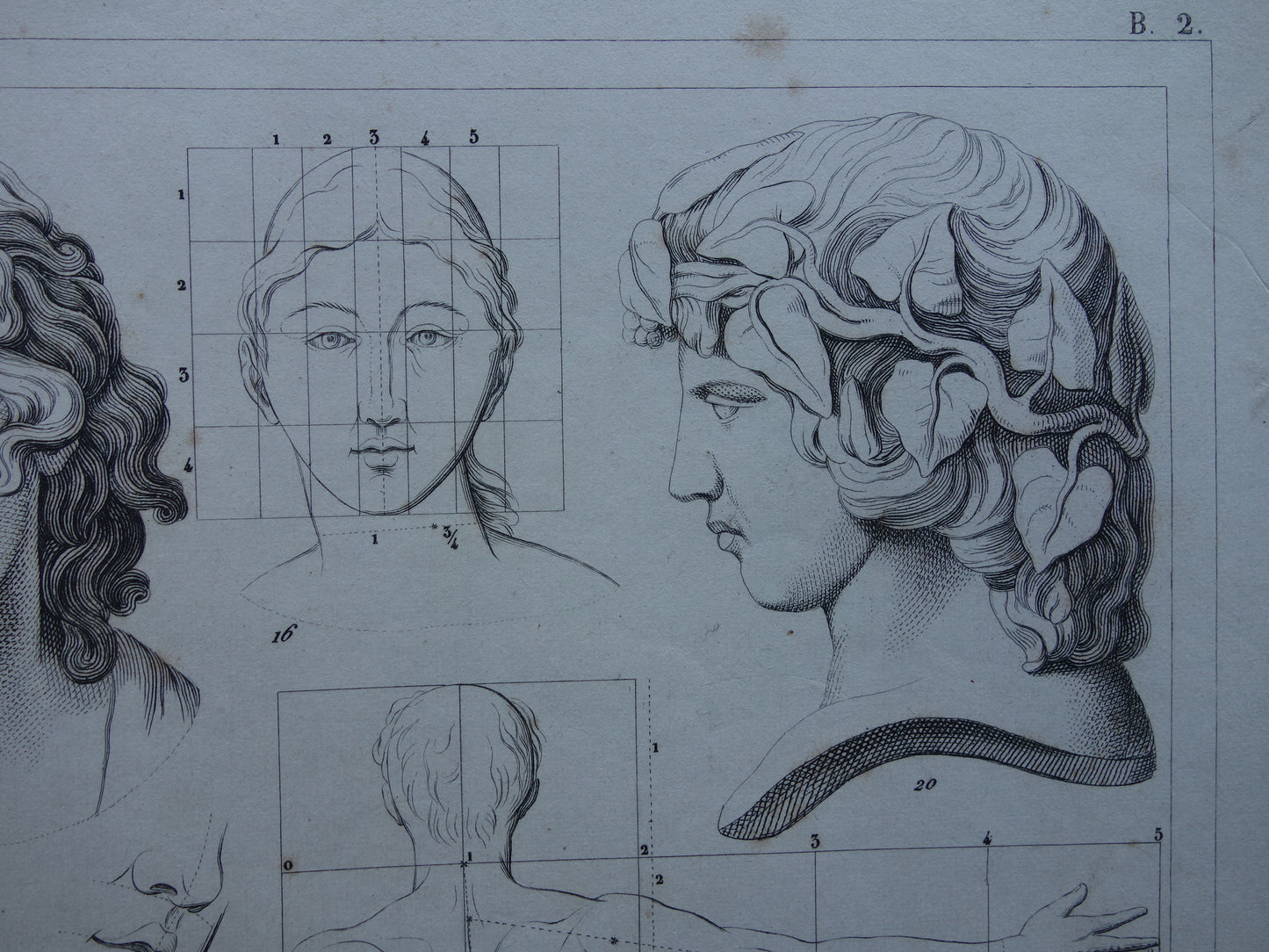 Oude prent schilderkunst theorie proporties van het menselijk lichaam originele antieke illustratie vintage prints
