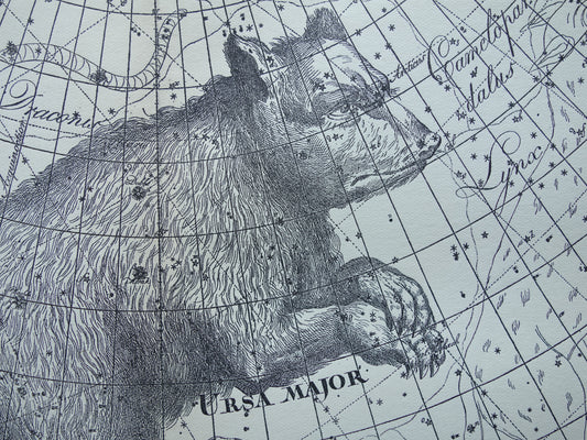 GROTE BEER Oude astronomie prent van sterrenbeeld Ursa Major Antieke sterrenkaart sterrenbeelden vintage print