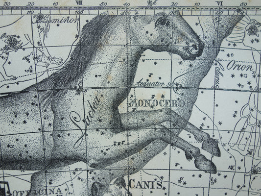 Oude astrologie prent van sterrenbeelden Eenhoorn Hond Duif Schip Argo Antieke sterrenkaart sterrenbeeld vintage asronomie print