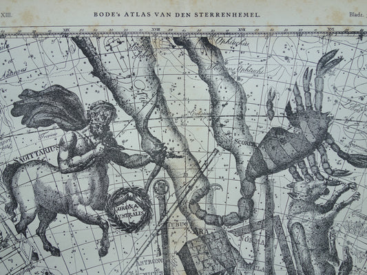 Oude astrologie prent van sterrenbeeld Schorpioen en Boogschutter Antieke sterrenkaart astronomie horoscoop vintage print