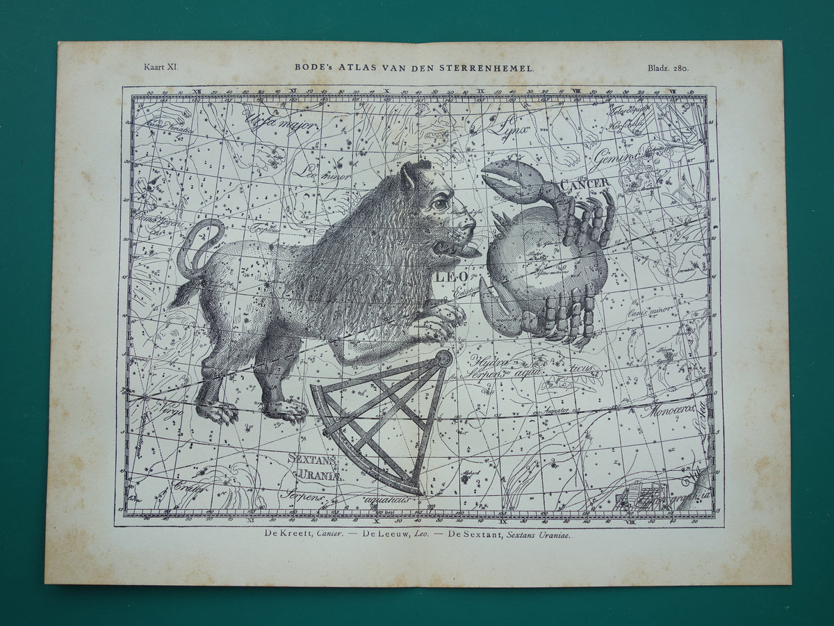 Leeuw en Kreeft Oude astrologie prent van sterrenbeeld Antieke sterrenkaart astronomie - Sterrenbeelden vintage print