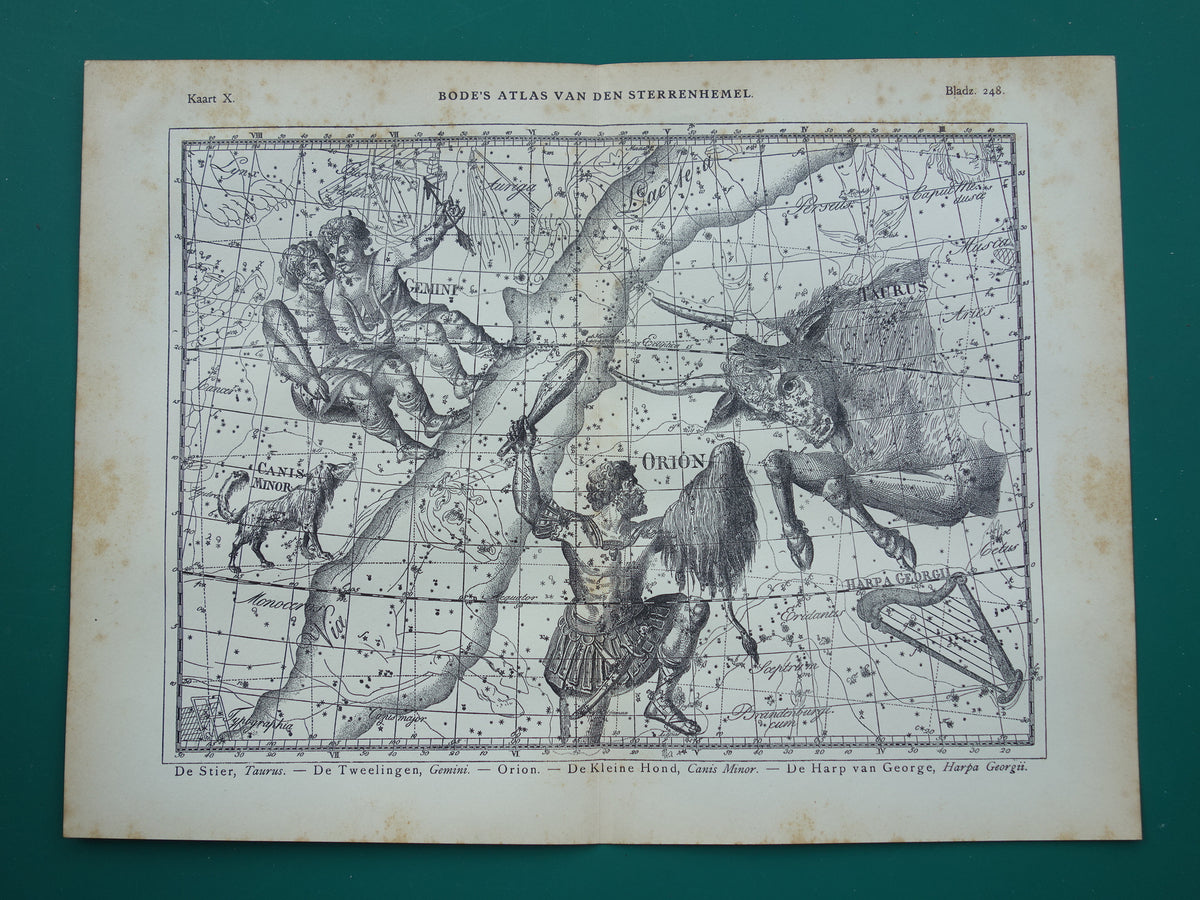 Sterrenbeeld Tweelingen en Stier Antieke prent sterrenkaart astrologie sterrenbeelden oude vintage astronomie print