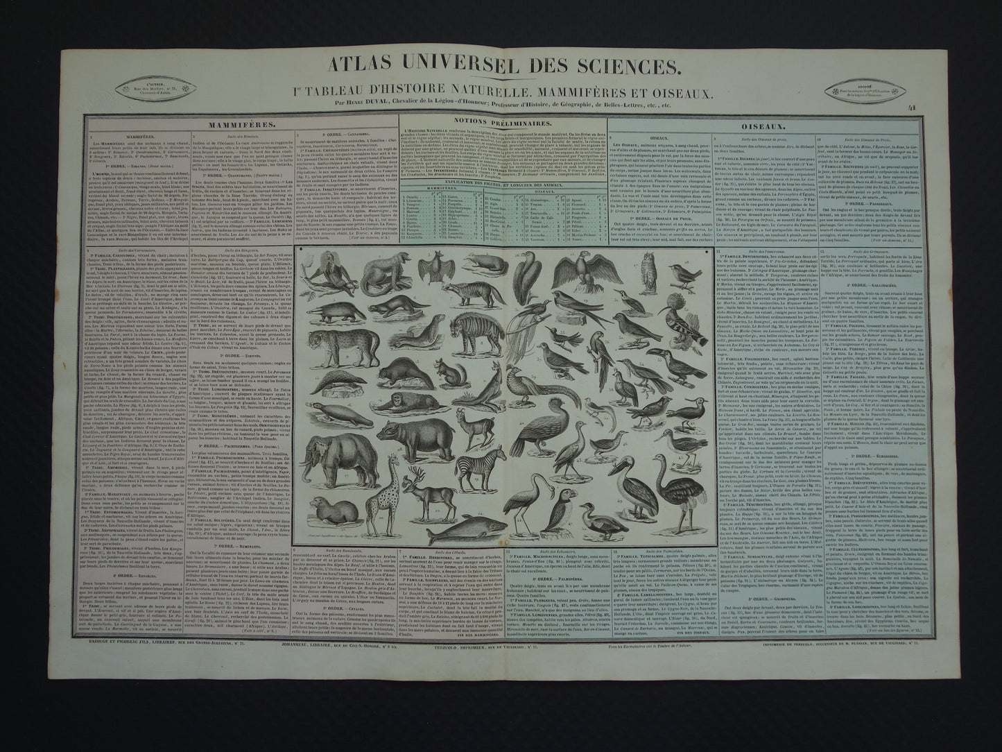 Oude dieren prent Zoogdieren en Vogels Oude illustratie Vintage print