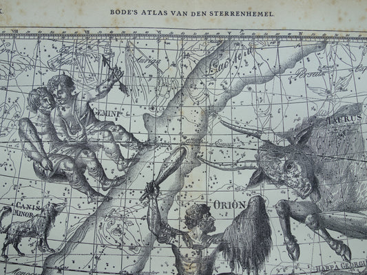 Sterrenbeeld Tweelingen en Stier Antieke prent sterrenkaart astrologie sterrenbeelden oude vintage astronomie print