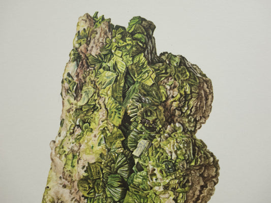 Autuniet Mineraal vintage prent 1967 Oude Mineralen Edelstenen Illustratie Autuniet Muurdecoratie Mineralogie Kristal