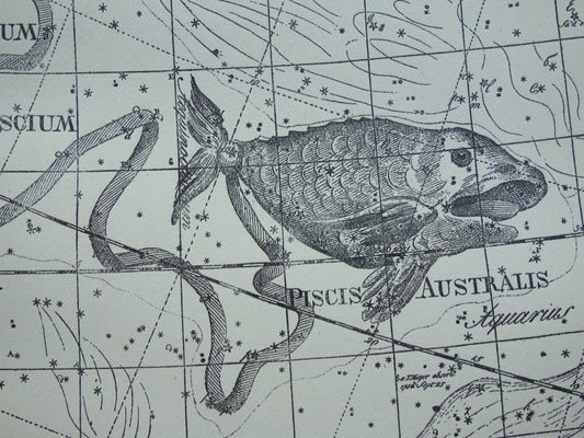 Vissen & Ram Sterrenbeeld Oude astrologie prent Antieke sterrenkaart astronomie sterrenbeelden vintage print