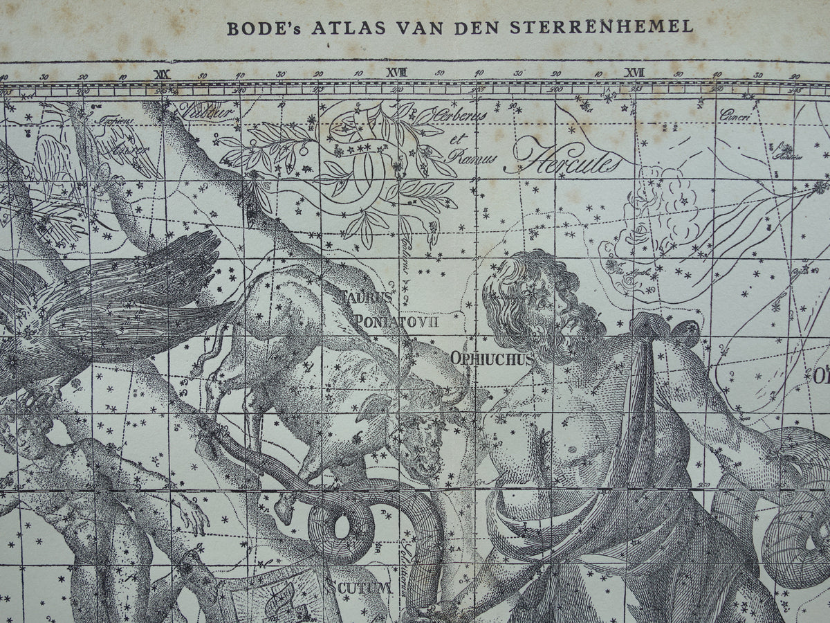Sterrenbeeld Ophiuchus Slangendrager Taurus Stier vintage illustratie - Antieke sterrenkaart Sterrenbeelden - Oude prent Aquila Arend en Antinous astronomie astrologie print