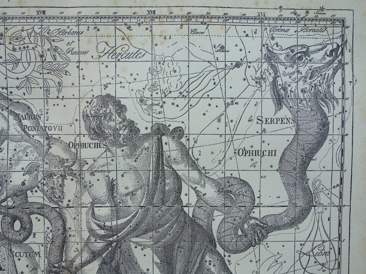 Sterrenbeeld Ophiuchus Slangendrager Taurus Stier vintage illustratie - Antieke sterrenkaart Sterrenbeelden - Oude prent Aquila Arend en Antinous astronomie astrologie print