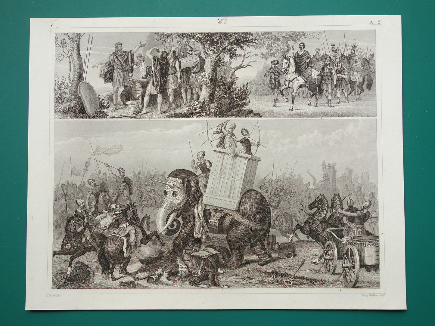 roman war elephant antique print