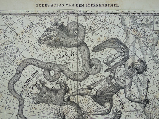 Sterrenbeeld Draak Oude astrologie prent Antieke sterrenkaart Cepheus astronomie sterrenbeelden vintage print Giraffe