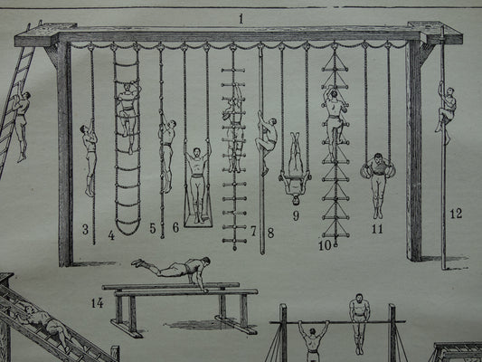 Gymnastics sports print 1897 old antique illustration with pictures of training gymnast athletics fitness sport gym excercise work-out