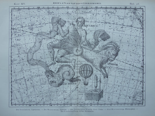 Waterman en Steenbok Oude astrologie prent van sterrenbeeld Antieke sterrenkaart astronomie sterrenbeelden vintage print