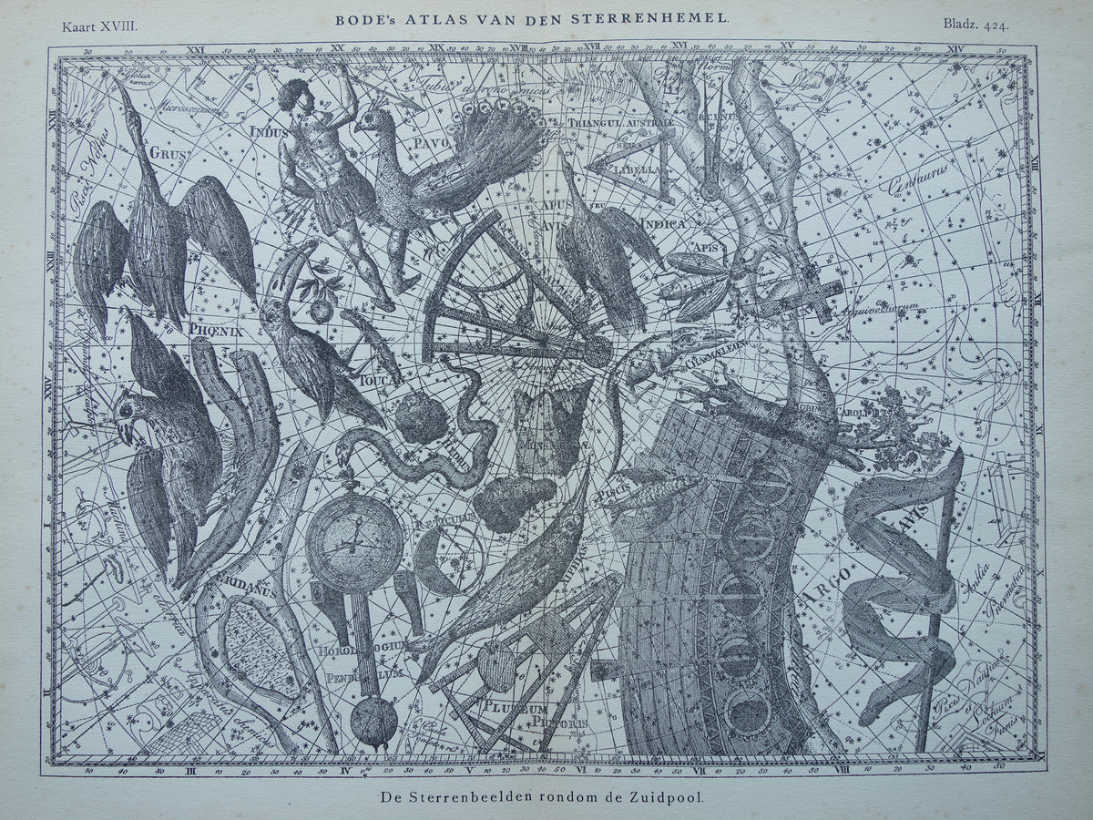 Oude astronomie prent van sterrenbeeld Pavo Indus Toekan Antieke sterrenkaart Argo Navis sterrenbeelden vintage print