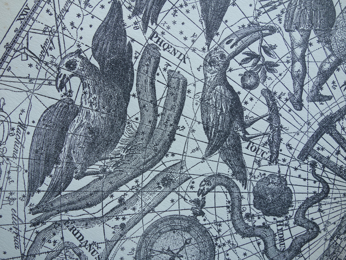 Oude astronomie prent van sterrenbeeld Pavo Indus Toekan Antieke sterrenkaart Argo Navis sterrenbeelden vintage print