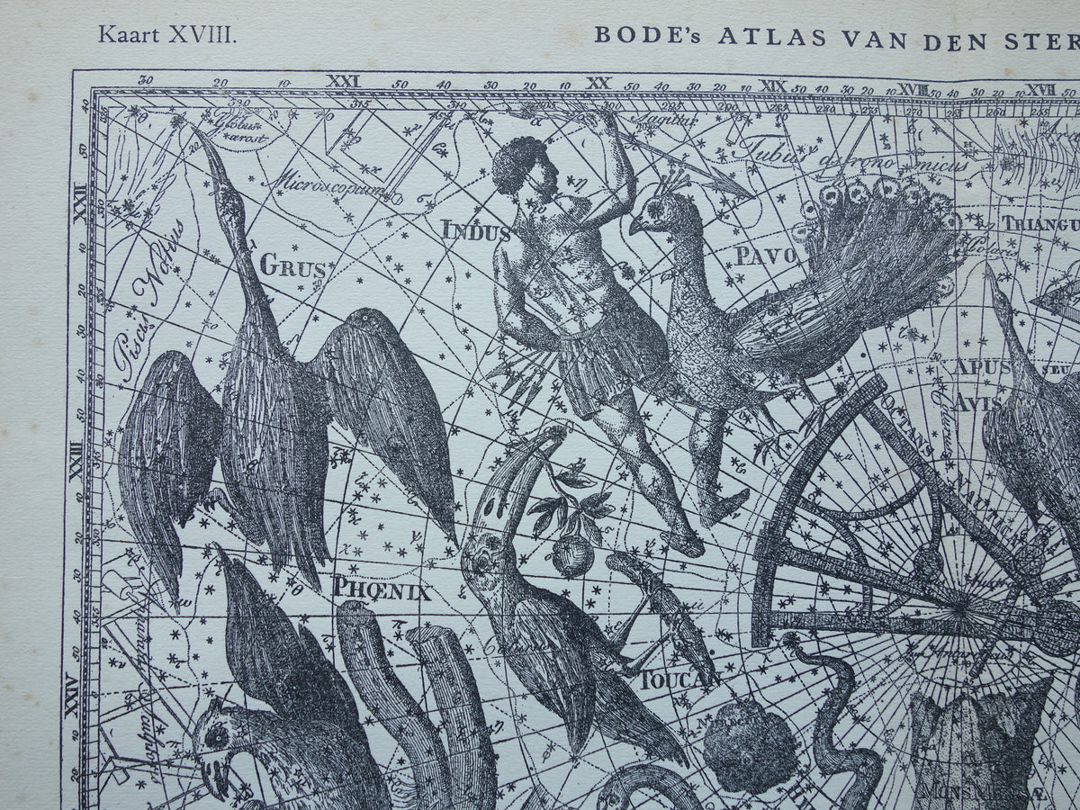 Oude astronomie prent van sterrenbeeld Pavo Indus Toekan Antieke sterrenkaart Argo Navis sterrenbeelden vintage print