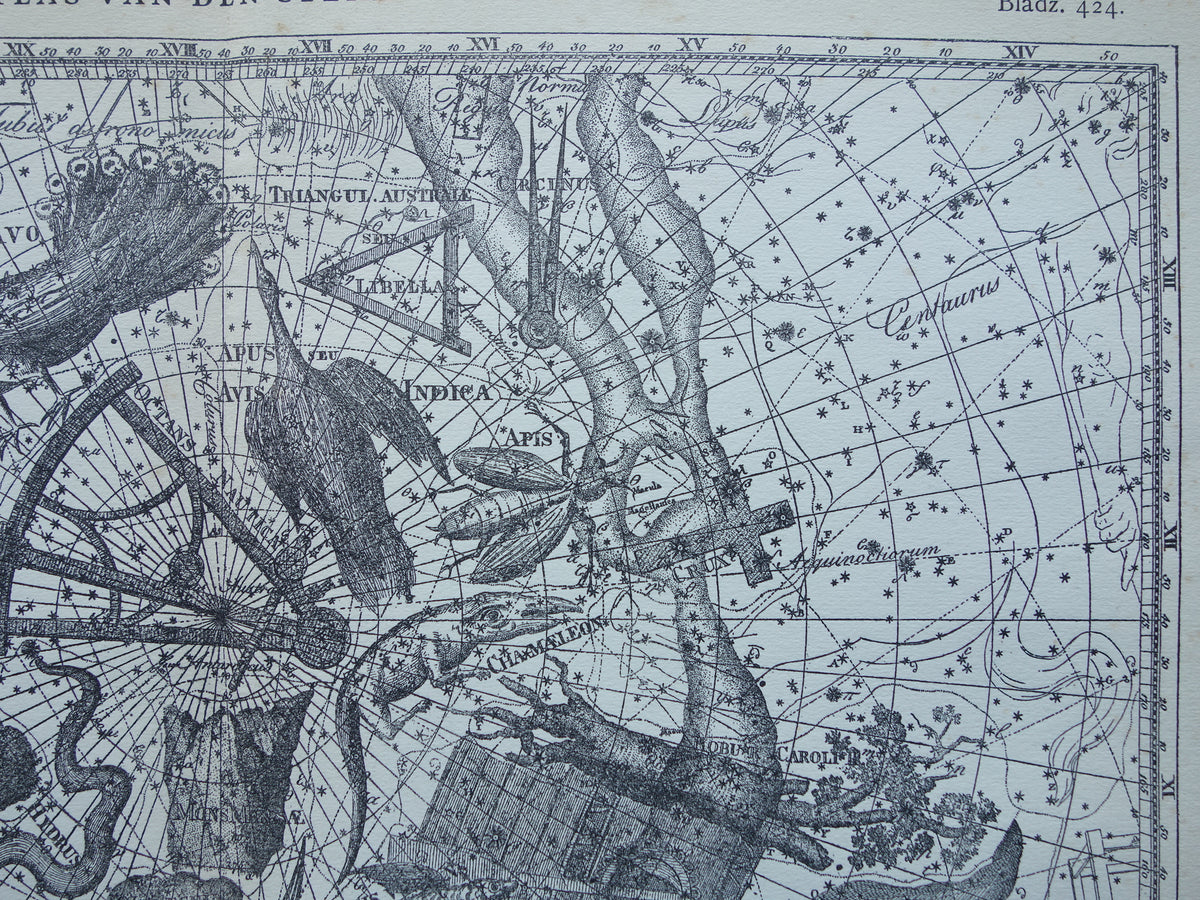 Oude astronomie prent van sterrenbeeld Pavo Indus Toekan Antieke sterrenkaart Argo Navis sterrenbeelden vintage print