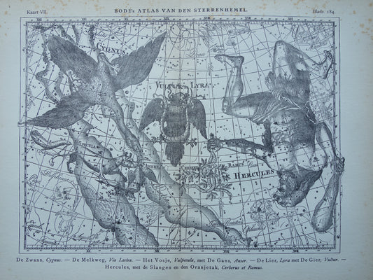 Oude astronomie prent van sterrenbeelden Hercules Cygnus en Vultur Lyra Antieke sterrenkaart astrologie sterrenbeeld vintage print