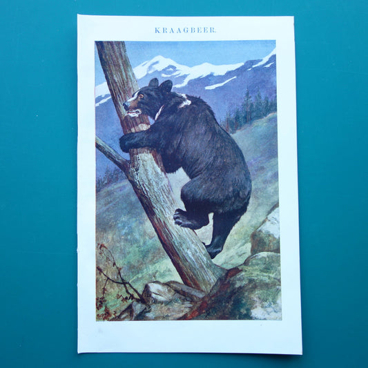 aziatische zwarte beer muurdecoratie vintage print