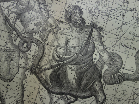 Sternzeichen Ophiuchus, Schlangenträger, Stier, Stier, Vintage-Illustration – antike Sternenkarte, Sternzeichen – alter Druck, Aquila-Adler und Antinoos-Astronomie-Astrologie-Druck
