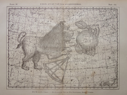Leeuw en Kreeft Oude astrologie prent van sterrenbeeld Antieke sterrenkaart astronomie - Sterrenbeelden vintage print
