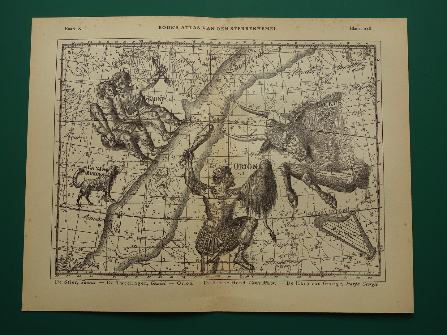 Sterrenbeeld Tweelingen en Stier Antieke prent sterrenkaart astrologie sterrenbeelden oude vintage astronomie print