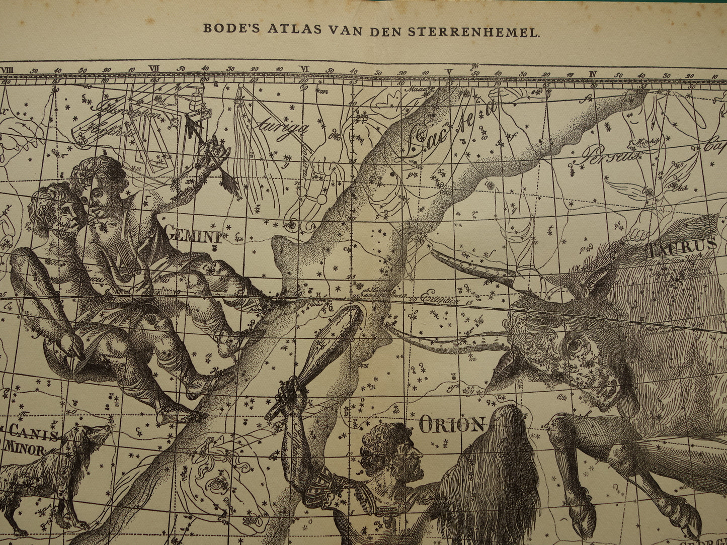 Sterrenbeeld Tweelingen en Stier Antieke prent sterrenkaart astrologie sterrenbeelden oude vintage astronomie print