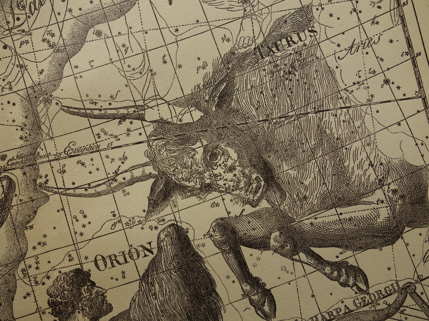 Sterrenbeeld Tweelingen en Stier Antieke prent sterrenkaart astrologie sterrenbeelden oude vintage astronomie print
