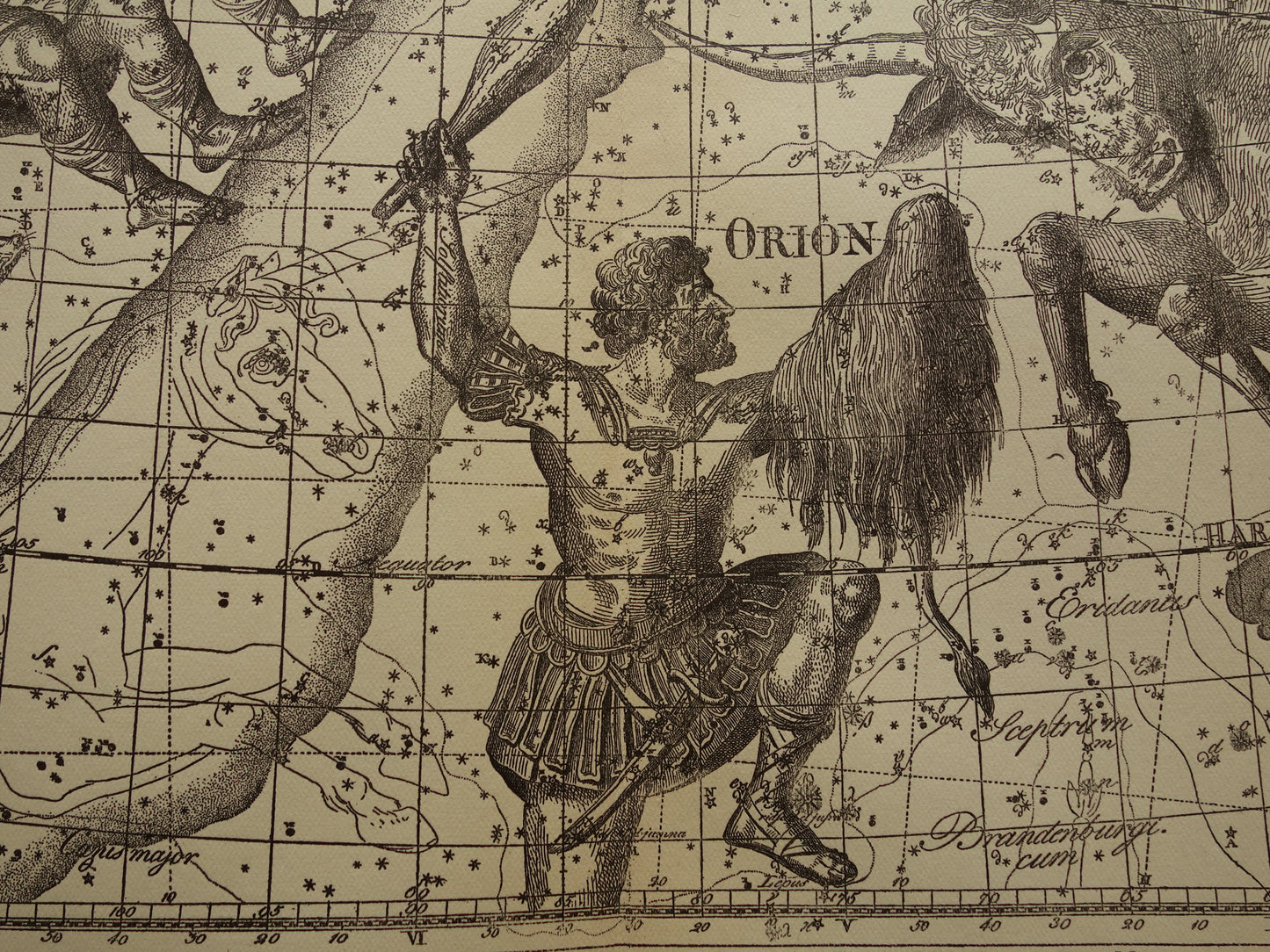 Sterrenbeeld Tweelingen en Stier Antieke prent sterrenkaart astrologie sterrenbeelden oude vintage astronomie print