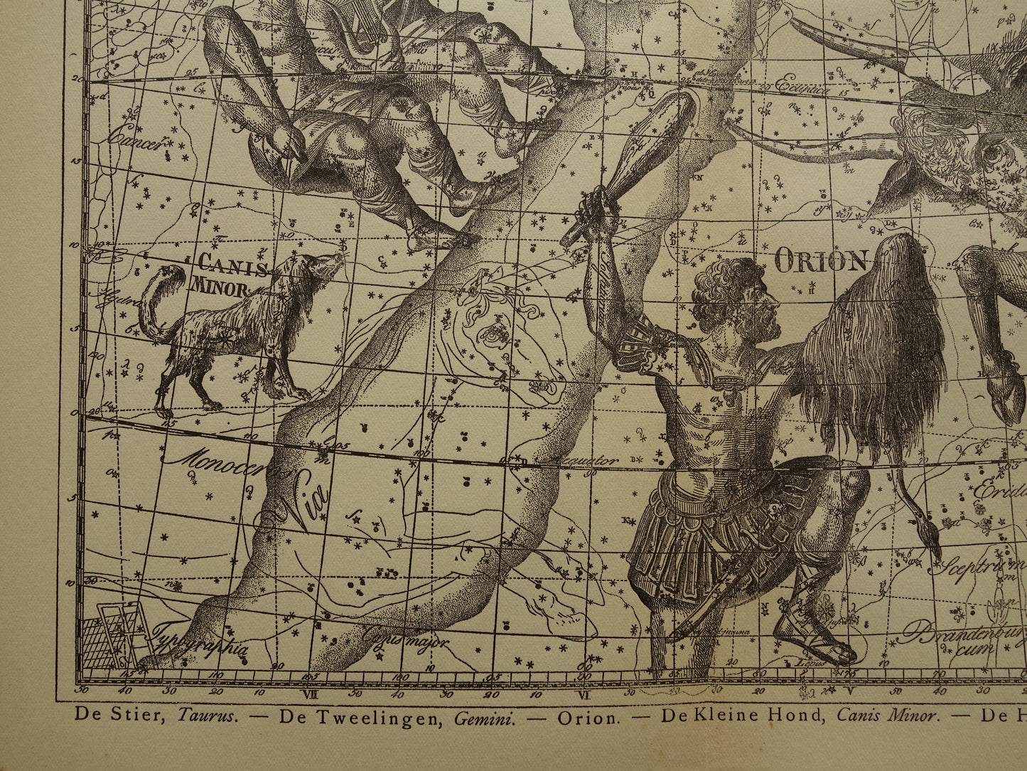 Sterrenbeeld Tweelingen en Stier Antieke prent sterrenkaart astrologie sterrenbeelden oude vintage astronomie print