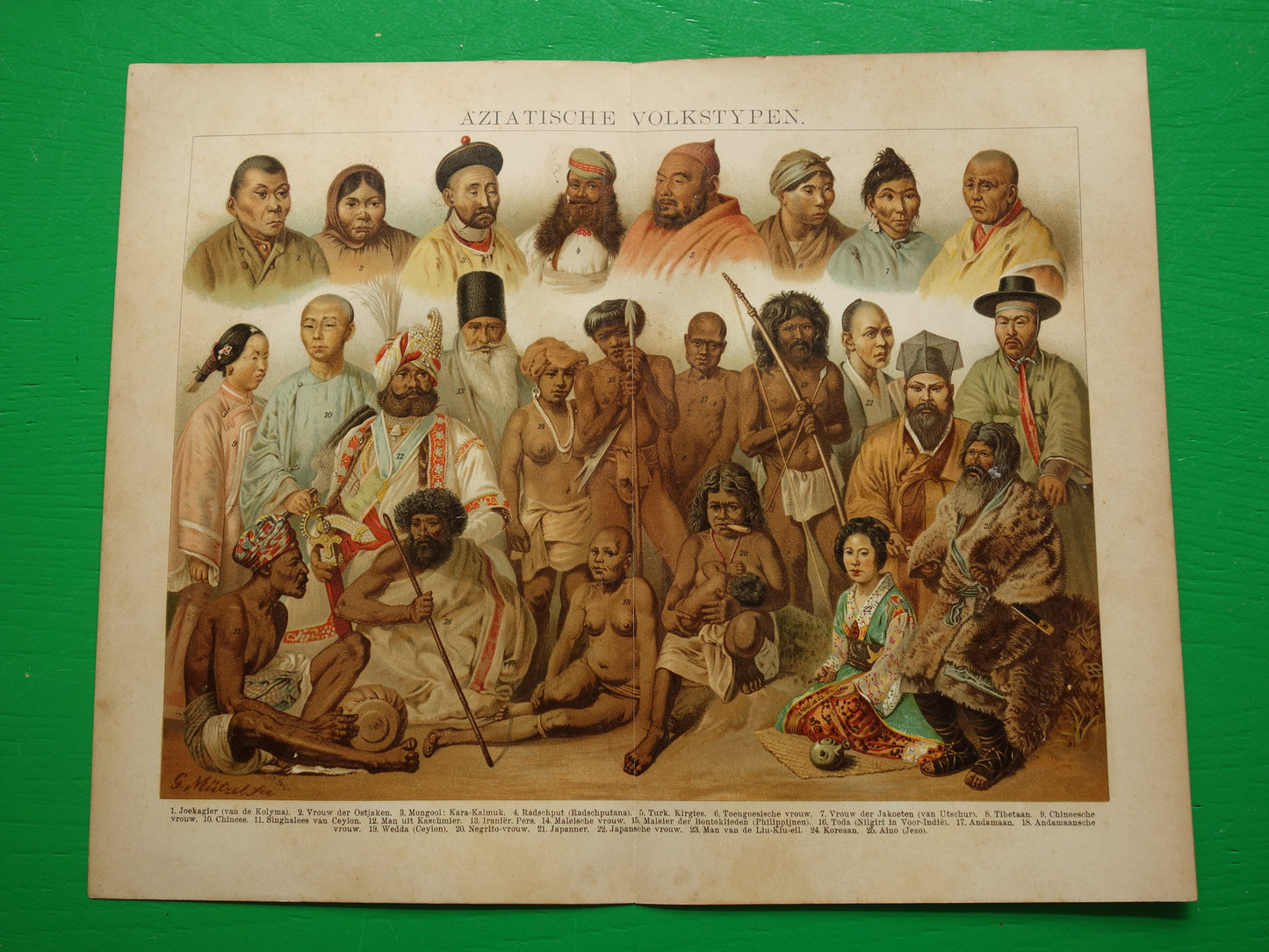 Oude prent van Aziatische volken Antieke illustratie Azië Antropologie Etnologie Etnografie