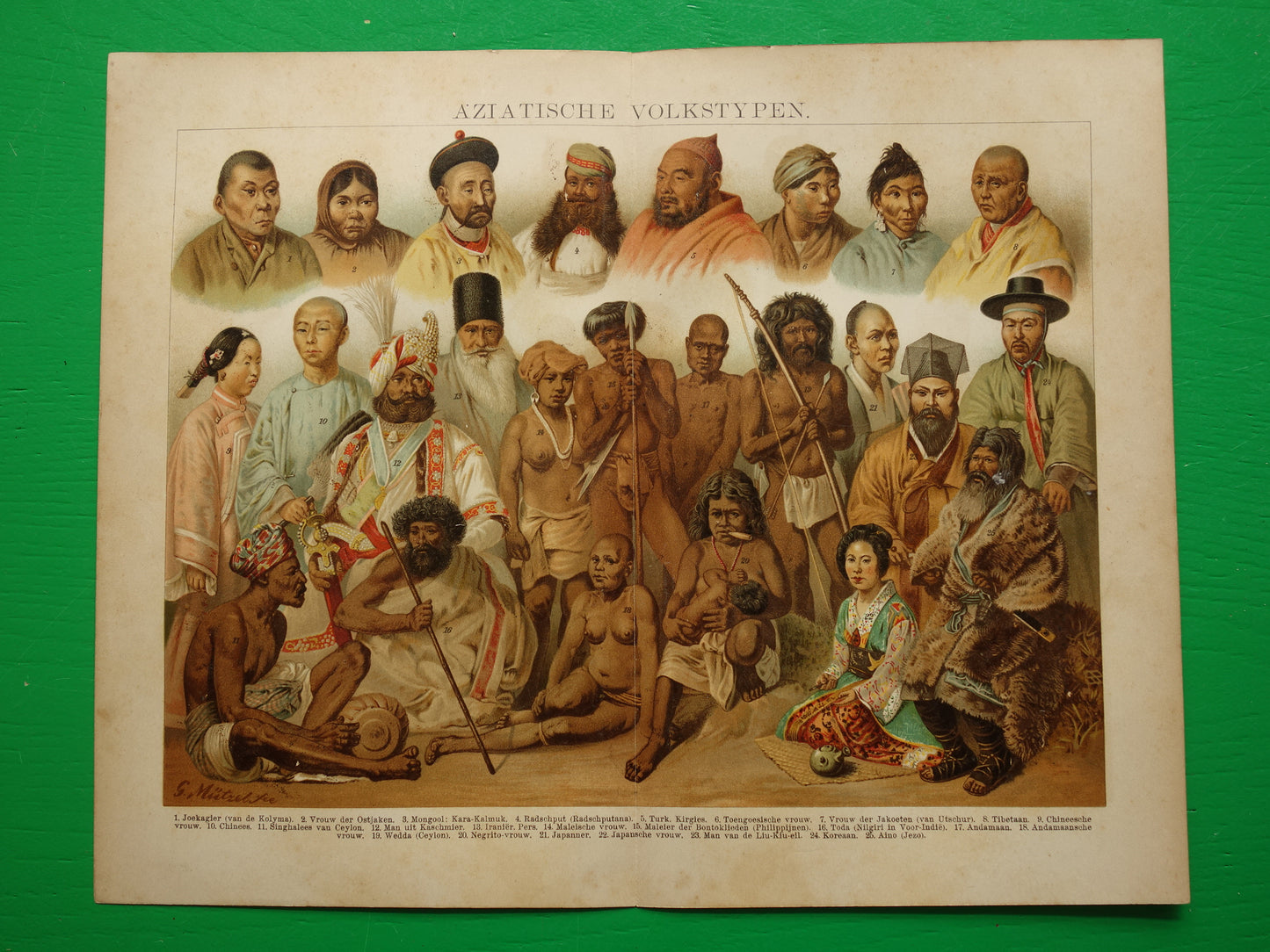 Oude prent van Aziatische volken Antieke illustratie Azië Antropologie Etnologie Etnografie