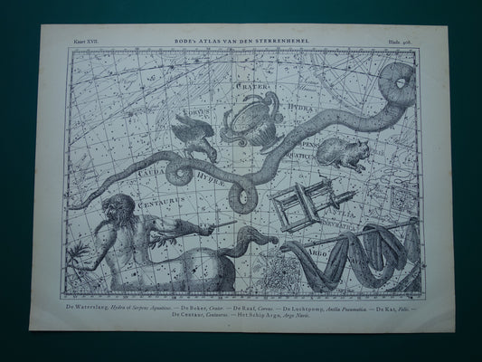 Oude astrologie prent van sterrenbeelden Centaur Raaf Kat Antieke sterrenkaart sterrenbeeld Waterslang Hydra Centaurus Felis vintage asronomie print