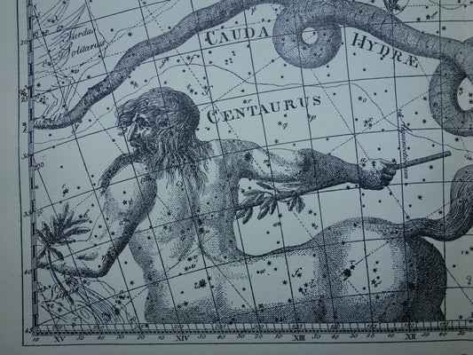 Alter Astrologiedruck von Sternbildern Zentaur Rabe Katze Antike Sternenkarte Sternbild Wasserschlange Hydra Centaurus Felis Vintage-Astronomiedruck
