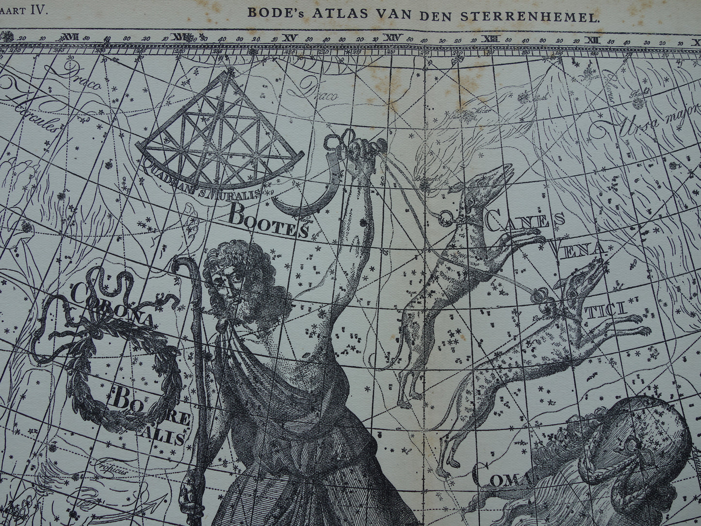 Antikes ASTRONOMIE-Druckset mit drei alten Sternenkartendrucken - Vintage Pegasus Auriga Boottes Astrologie-Konstellationsdrucke Nordhimmel