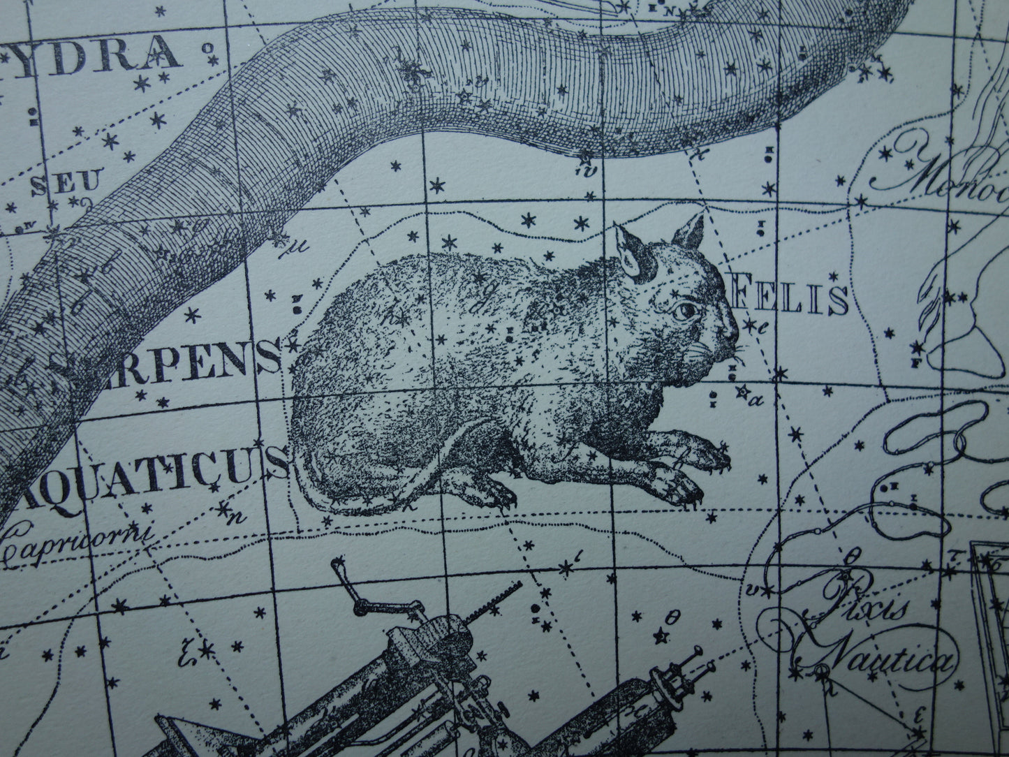 Oude astrologie prent van sterrenbeelden Centaur Raaf Kat Antieke sterrenkaart sterrenbeeld Waterslang Hydra Centaurus Felis vintage asronomie print