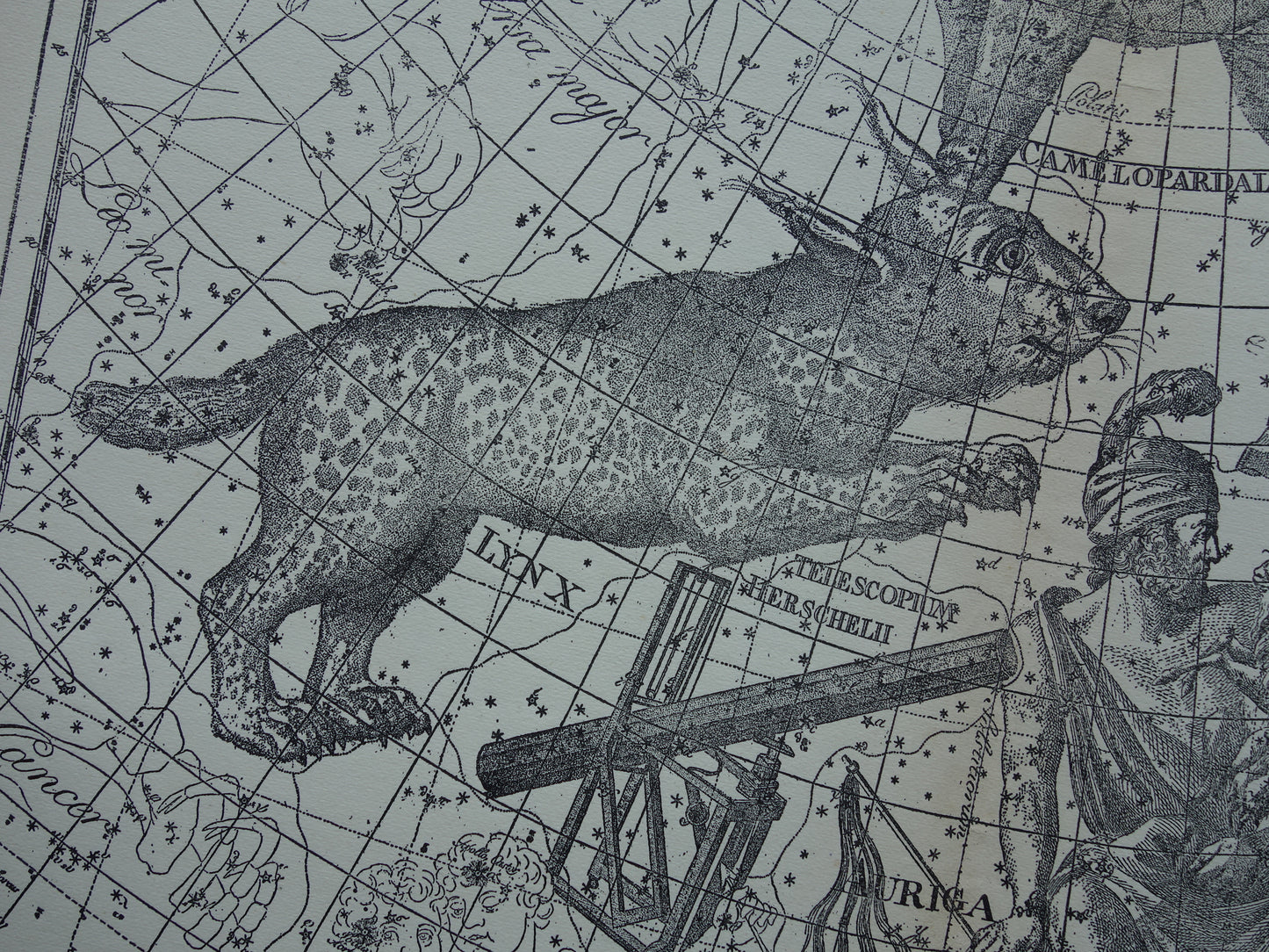 Antikes ASTRONOMIE-Druckset mit drei alten Sternenkartendrucken - Vintage Pegasus Auriga Boottes Astrologie-Konstellationsdrucke Nordhimmel