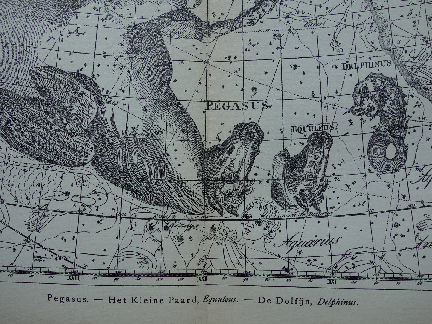 Antikes ASTRONOMIE-Druckset mit drei alten Sternenkartendrucken - Vintage Pegasus Auriga Boottes Astrologie-Konstellationsdrucke Nordhimmel