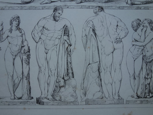 Oude prent kunstgeschiedenis Beelden Hercules Adonis Originele antieke print Venus Bacchus Cupido Kunst Beeldhouwkunst vintage illustratie Beeldhouwwerken