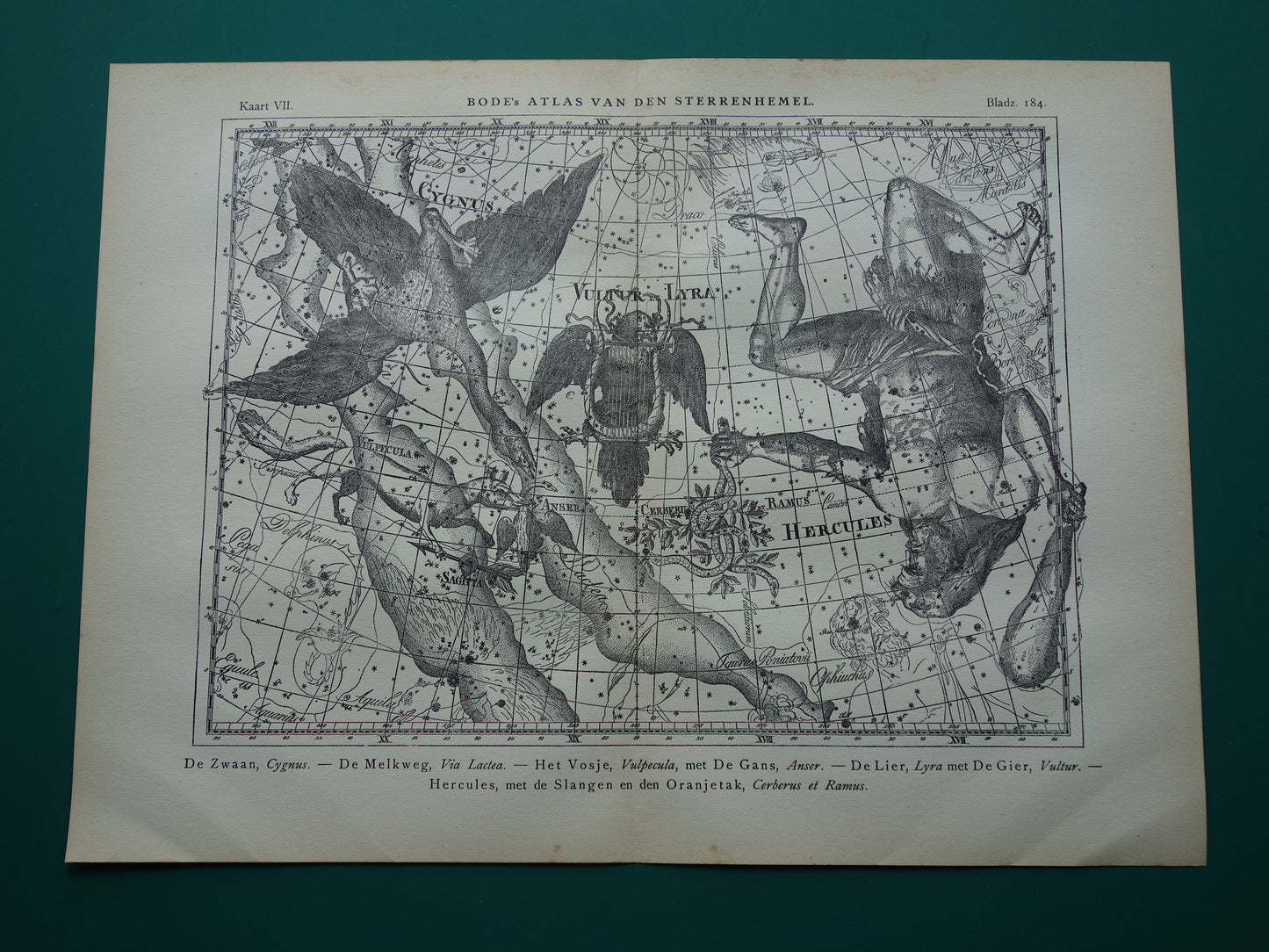 Oude astronomie prent van sterrenbeelden Hercules Cygnus en Vultur Lyra Antieke sterrenkaart astrologie sterrenbeeld vintage print