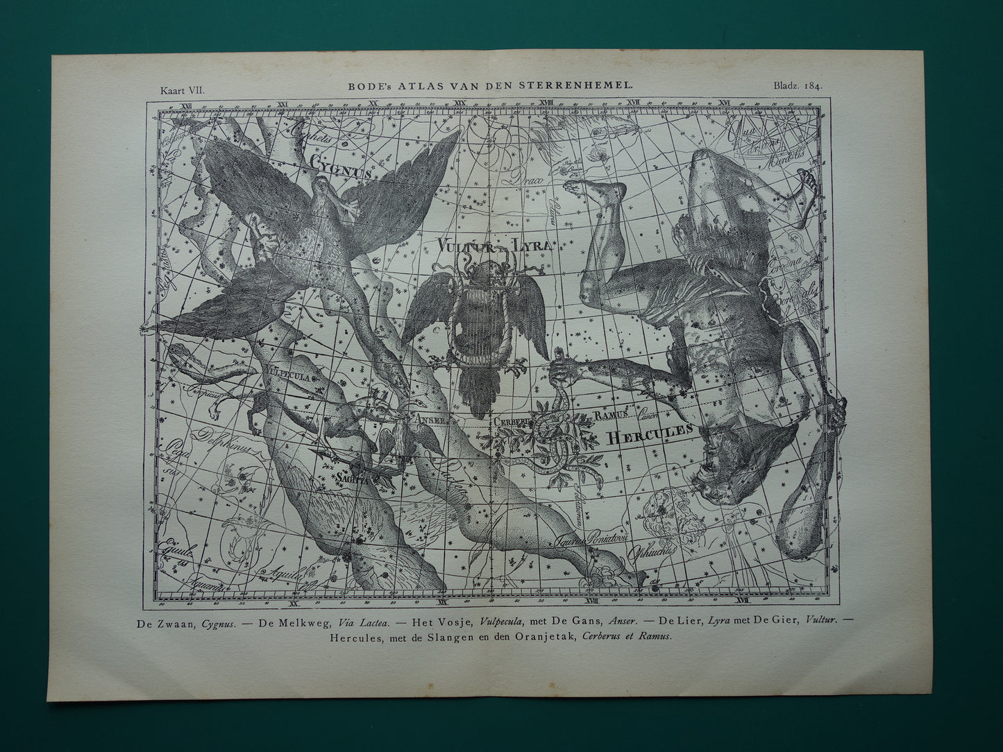 Oude astronomie prent van sterrenbeelden Hercules Cygnus en Vultur Lyra Antieke sterrenkaart astrologie sterrenbeeld vintage print