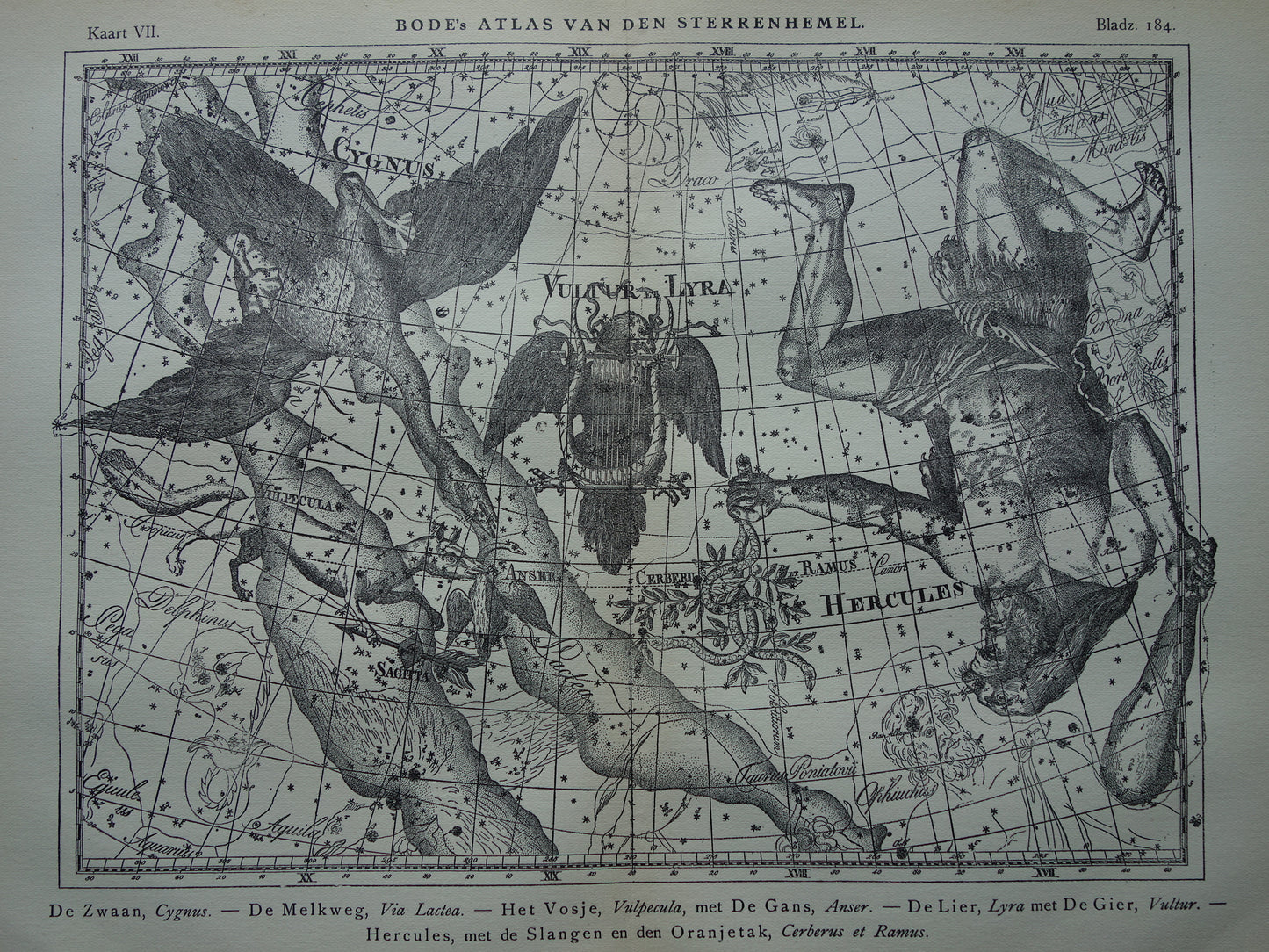 Oude astronomie prent van sterrenbeelden Hercules Cygnus en Vultur Lyra Antieke sterrenkaart astrologie sterrenbeeld vintage print