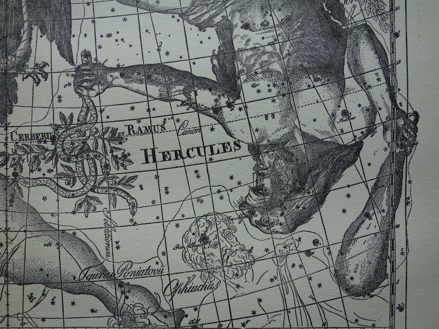 Oude astronomie prent van sterrenbeelden Hercules Cygnus en Vultur Lyra Antieke sterrenkaart astrologie sterrenbeeld vintage print