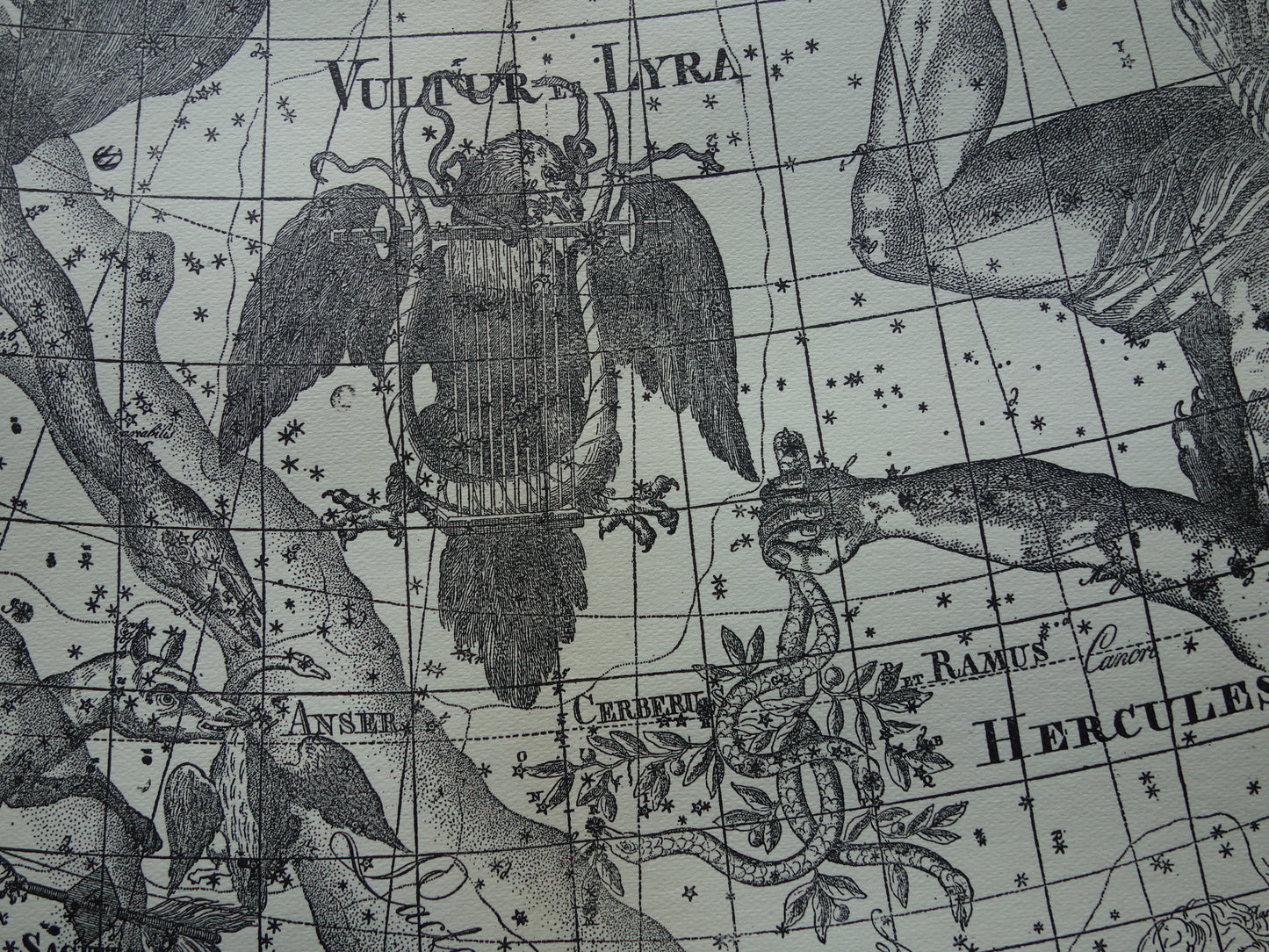 Oude astronomie prent van sterrenbeelden Hercules Cygnus en Vultur Lyra Antieke sterrenkaart astrologie sterrenbeeld vintage print