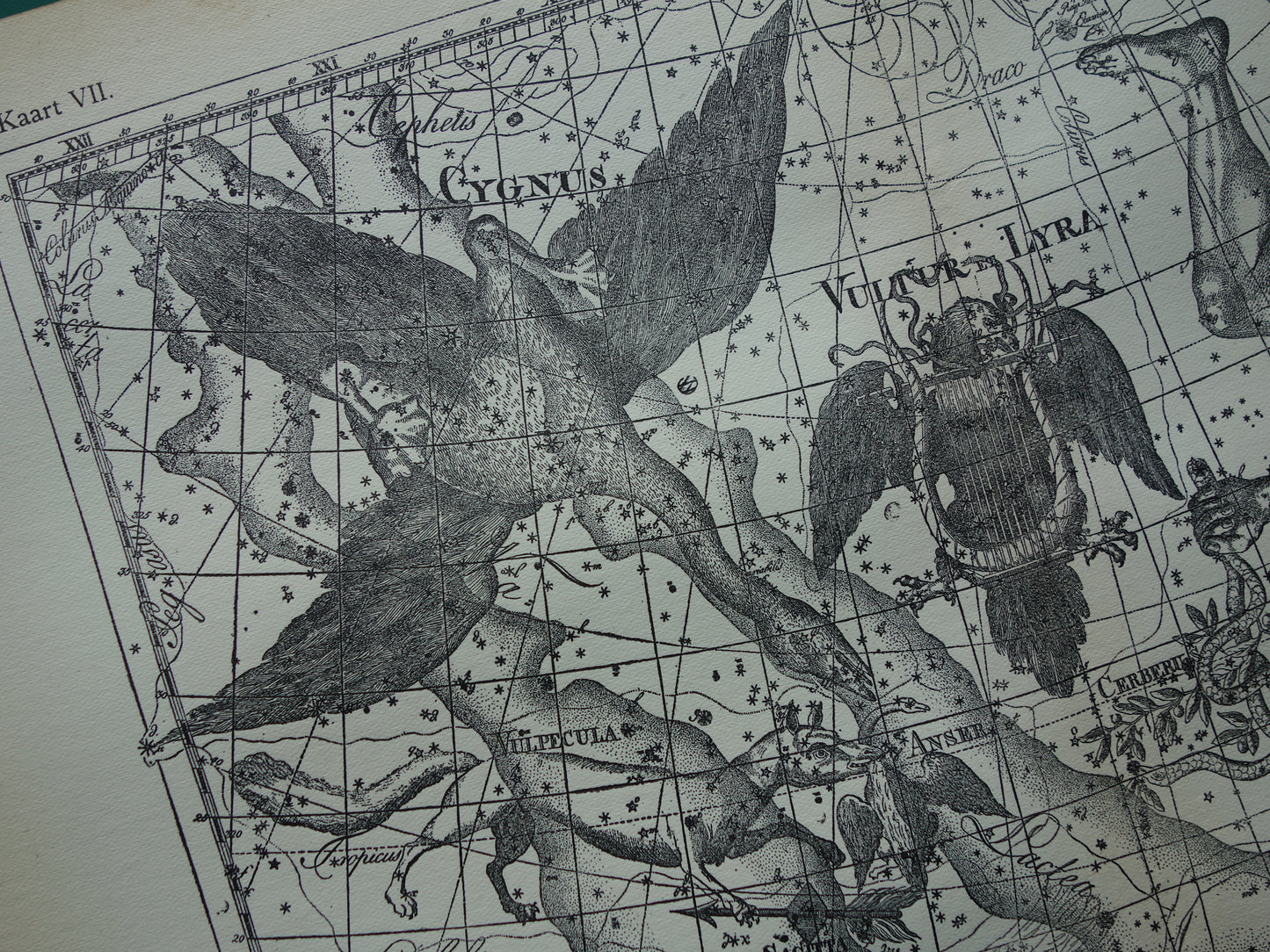 Oude astronomie prent van sterrenbeelden Hercules Cygnus en Vultur Lyra Antieke sterrenkaart astrologie sterrenbeeld vintage print