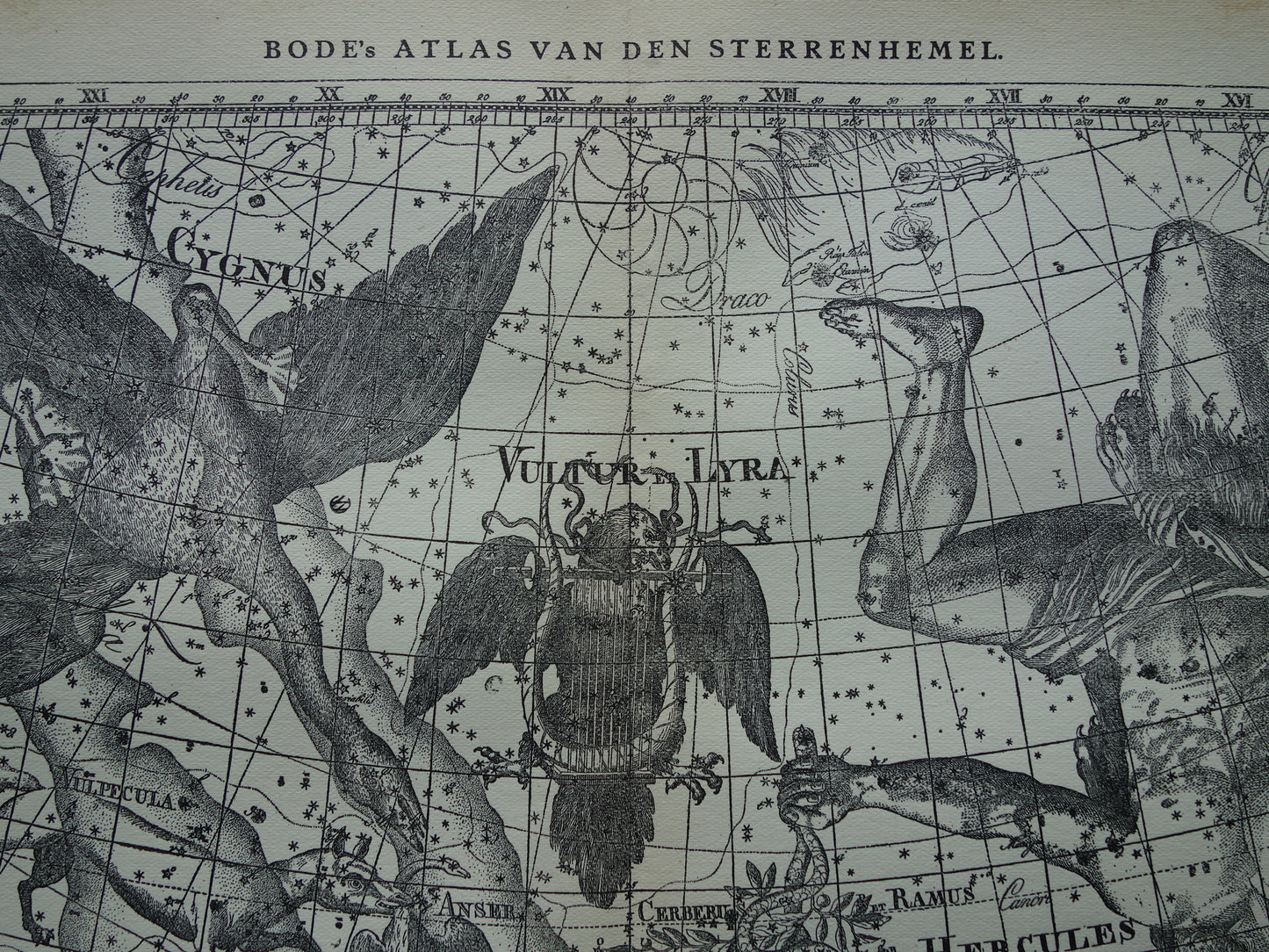 Oude astronomie prent van sterrenbeelden Hercules Cygnus en Vultur Lyra Antieke sterrenkaart astrologie sterrenbeeld vintage print