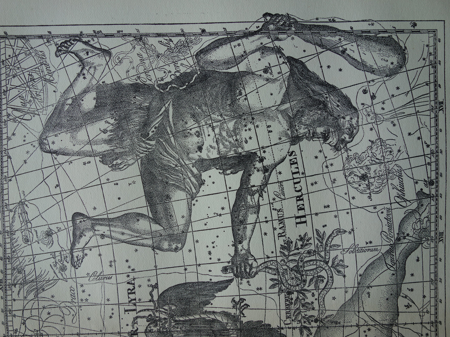 Oude astronomie prent van sterrenbeelden Hercules Cygnus en Vultur Lyra Antieke sterrenkaart astrologie sterrenbeeld vintage print