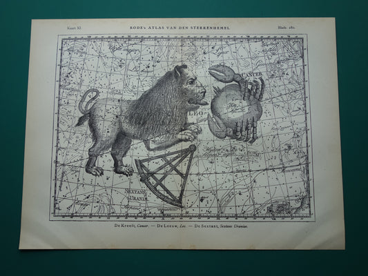 Leeuw en Schorpioen Oude astrologie prent van sterrenbeeld - Antieke sterrenkaart astronomie - Sterrenbeelden vintage print